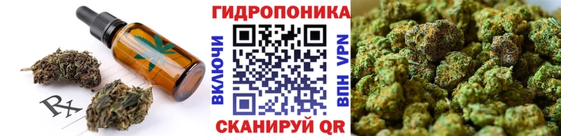 купить   Кисловодск  Cannafood конопля 