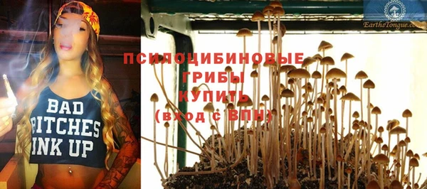 винт Дмитров
