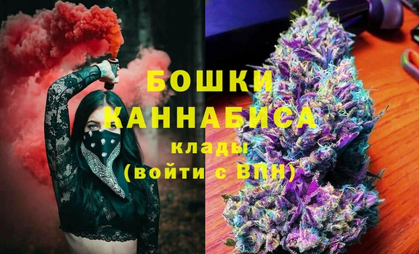 винт Дмитров