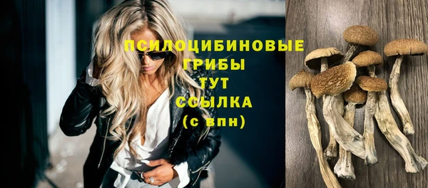 гидра Дмитровск