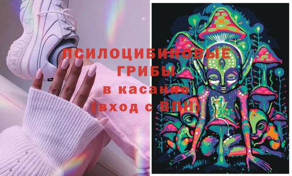 дживик Дмитриев
